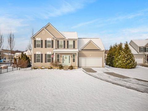 1482 Barrymore Lane Wadsworth OH 44281