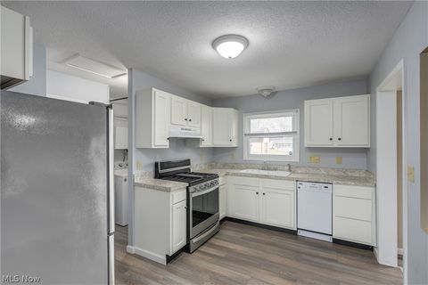 Tiny photo for 703 N Main Street, Amherst, OH 44001 (MLS # 5187885)