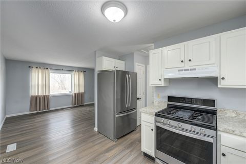 Tiny photo for 703 N Main Street, Amherst, OH 44001 (MLS # 5187885)