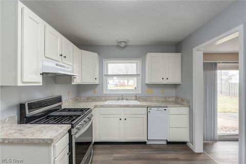 Tiny photo for 703 N Main Street, Amherst, OH 44001 (MLS # 5187885)