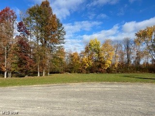 Black Duck Court, Cortland, Ohio image 8