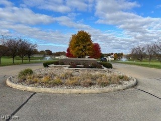 Black Duck Court, Cortland, Ohio image 4