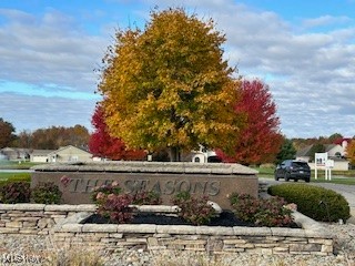 Black Duck Court, Cortland, Ohio image 2