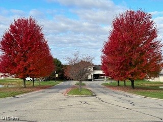 Black Duck Court, Cortland, Ohio image 16