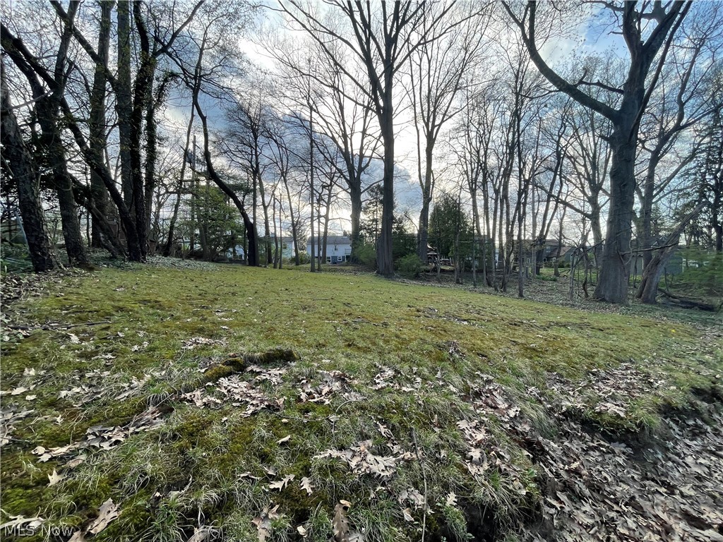 Van De Boe Hager Belvoir Terrace S - Residential