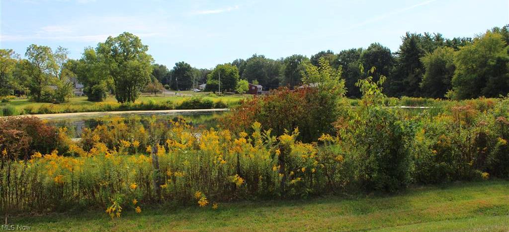 Pine Lake 01 - Residential