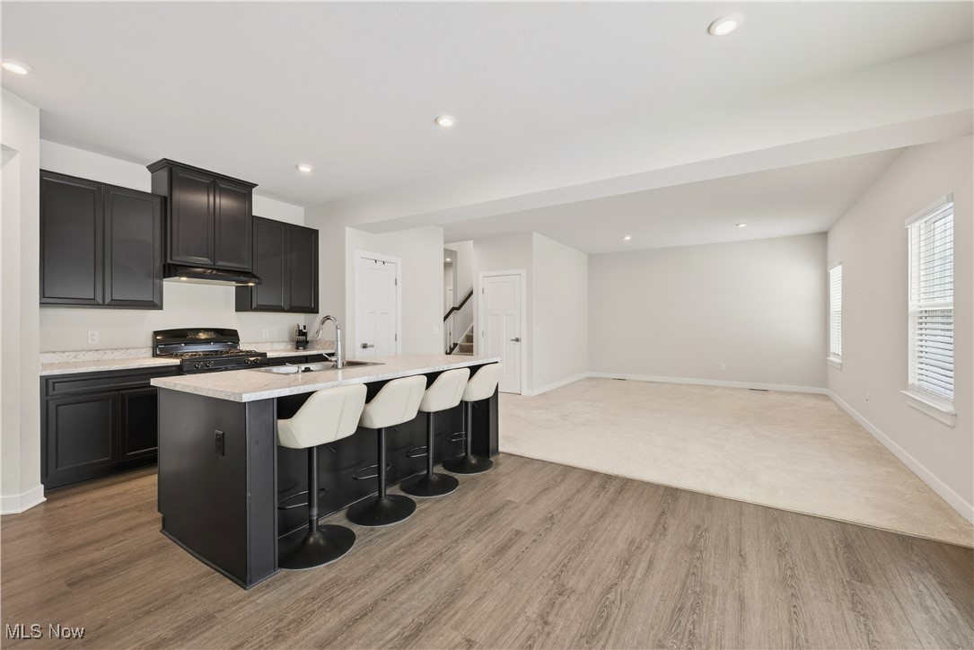 Woodsong PUD Ph 11 - Residential