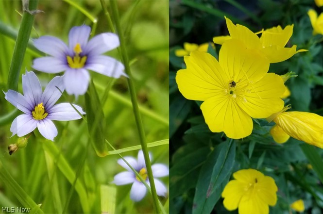 Vansweringen - Residential