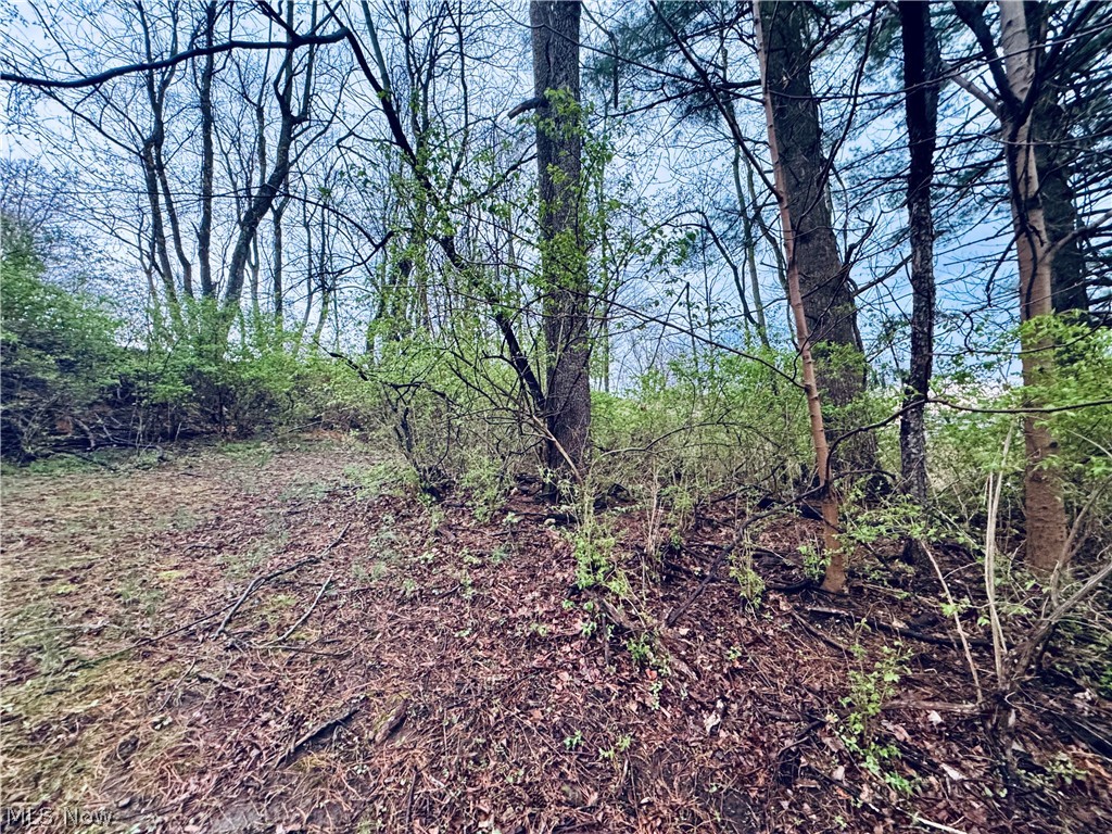 Saylor Road