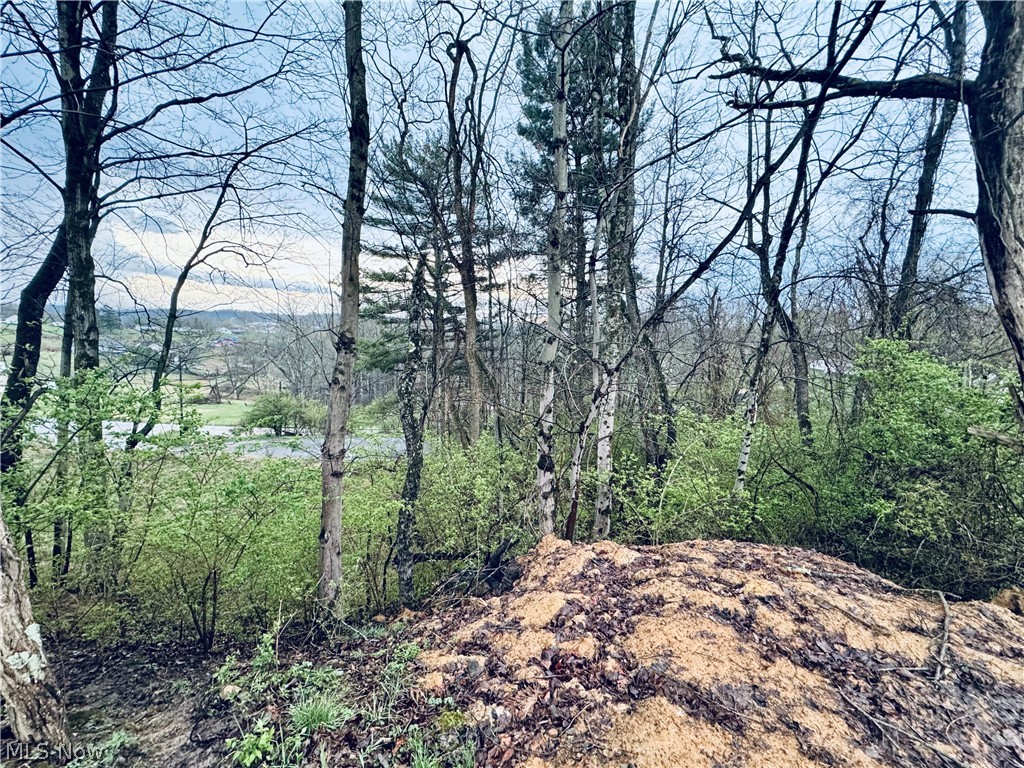 Saylor Road