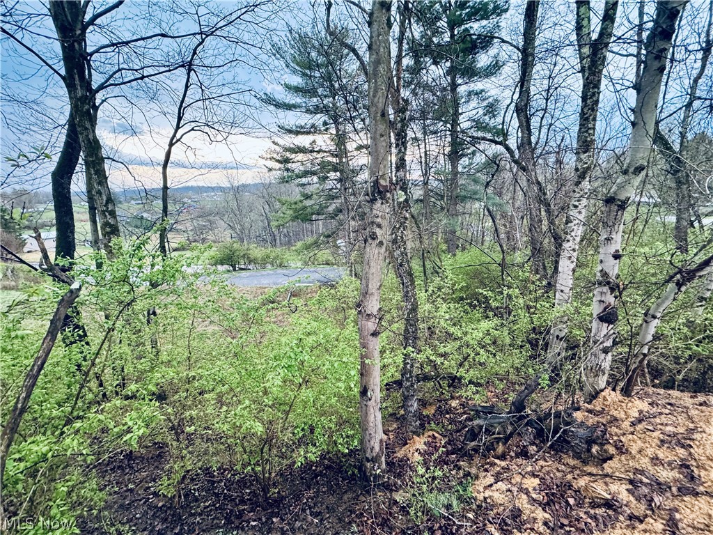 Saylor Road
