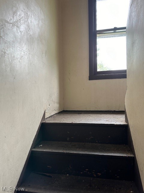 Lake Shore Blvd - Residential Income