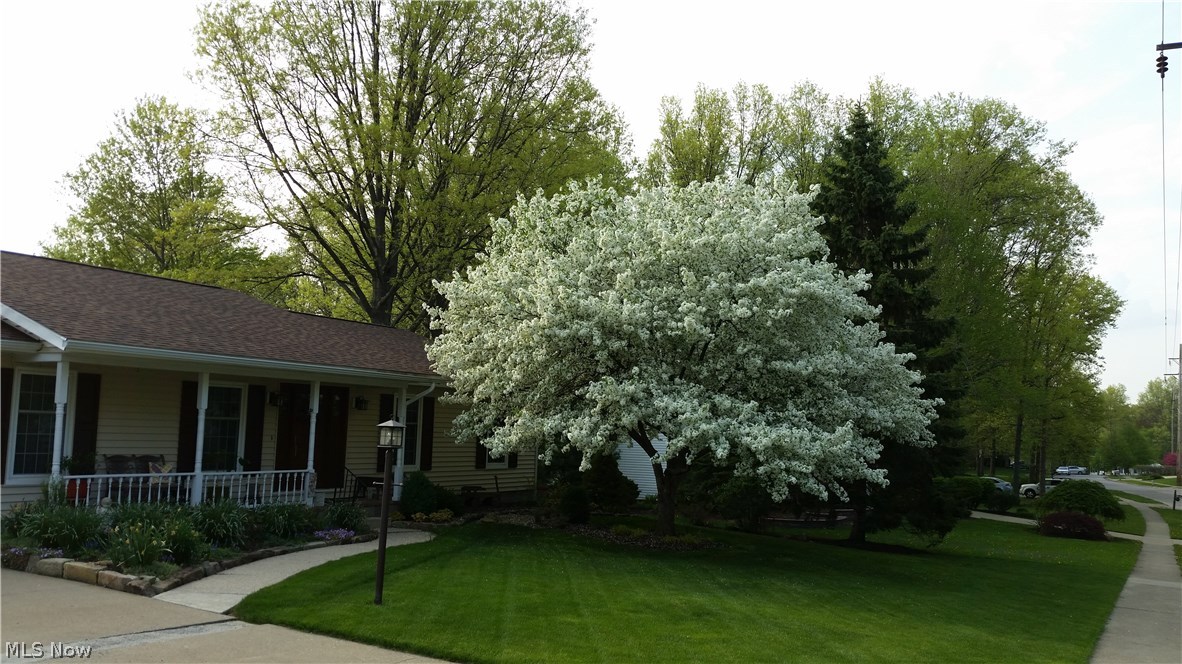 Heather Hills - Residential