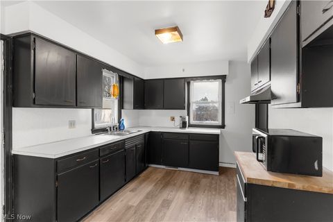 Tiny photo for 827 Michigan Avenue, Youngstown, OH 44504 (MLS # 5190990)