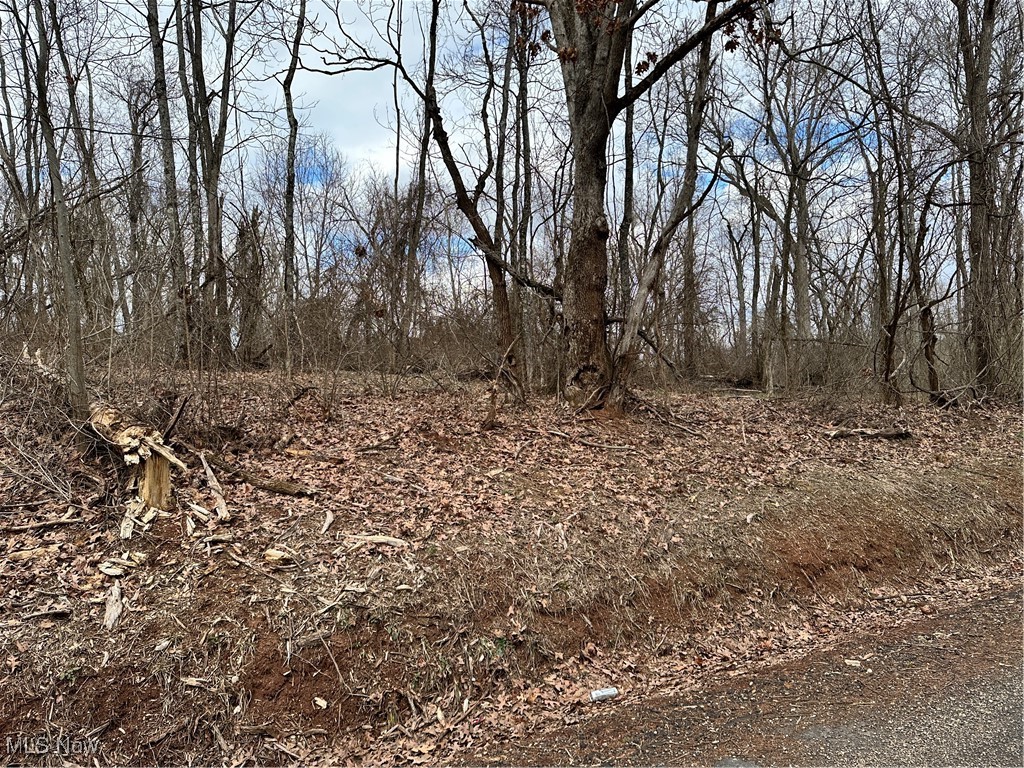 Fisher Ridge Rd, Tract 4, Fleming, Ohio image 1