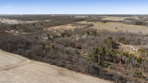 Tiny photo for 6686 Mahoning Avenue NE, Alliance, OH 44601 (MLS # 5190132)