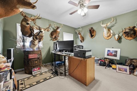 Tiny photo for 6686 Mahoning Avenue NE, Alliance, OH 44601 (MLS # 5190132)