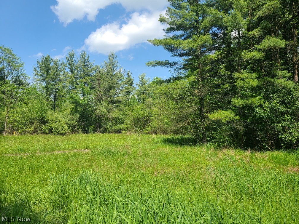 Rootstown - Residential