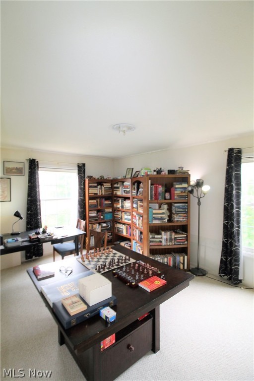 Williamsburg Court Condos - Residential