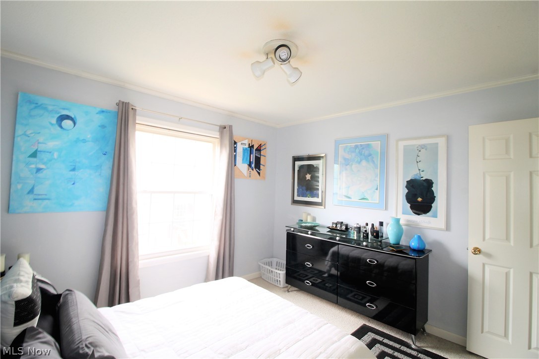 Williamsburg Court Condos - Residential