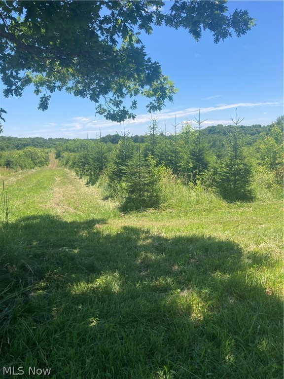 Beautiful 6 acre building lot in the Clear Fork school district! Great views! Peaceful and quiet with lots of wildlife! Easy access from Garber Rd. Close to St Rt 13, I-71, and the village of Bellville.