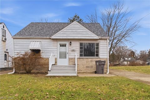 Homes For Sale - 3629 Irma Street<br/> Youngstown, OH 44502