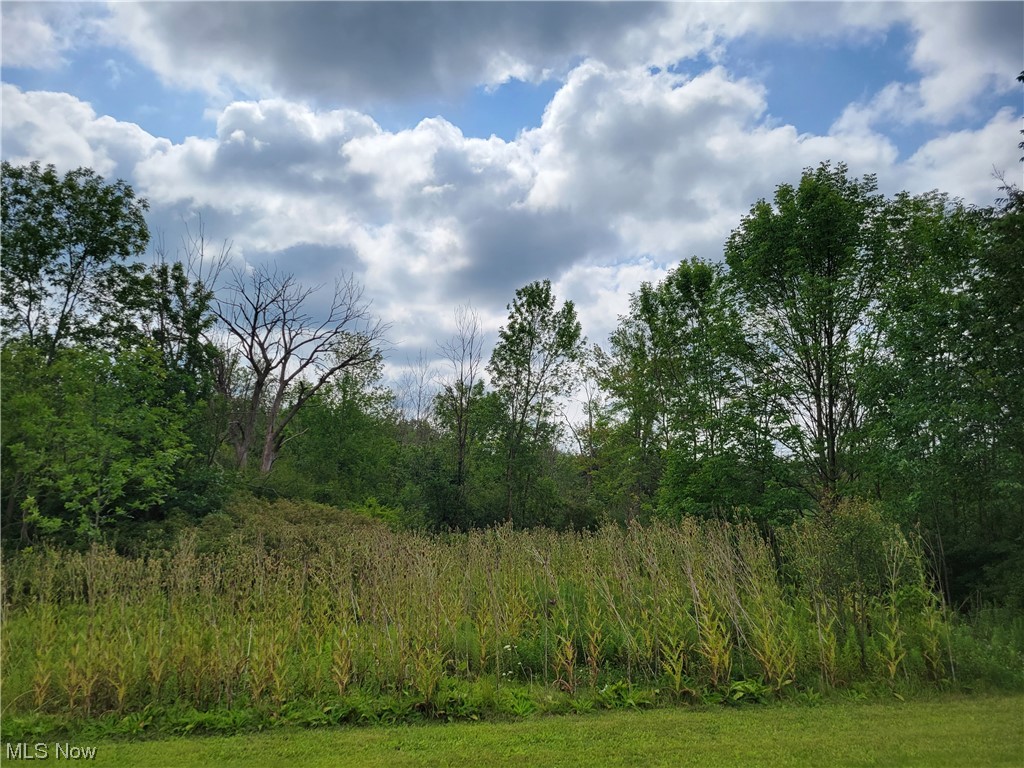 Aurora Hudson Road, Streetsboro, Ohio image 3