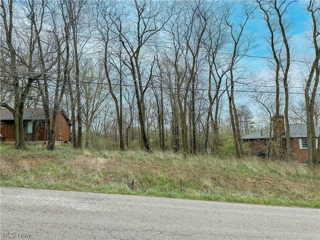 Looking for a great lot in Stow? Located in Little Farms #3 lot 68 and near downtown restaurants and entertainment! This amazing .46 acre lot is available for you to build your perfect home. If your building plans include a walk-out lower level, this lot can accommodate. Electric, gas and sewer at street, water at rear of property. Zoned R3. Don't miss your opportunity!