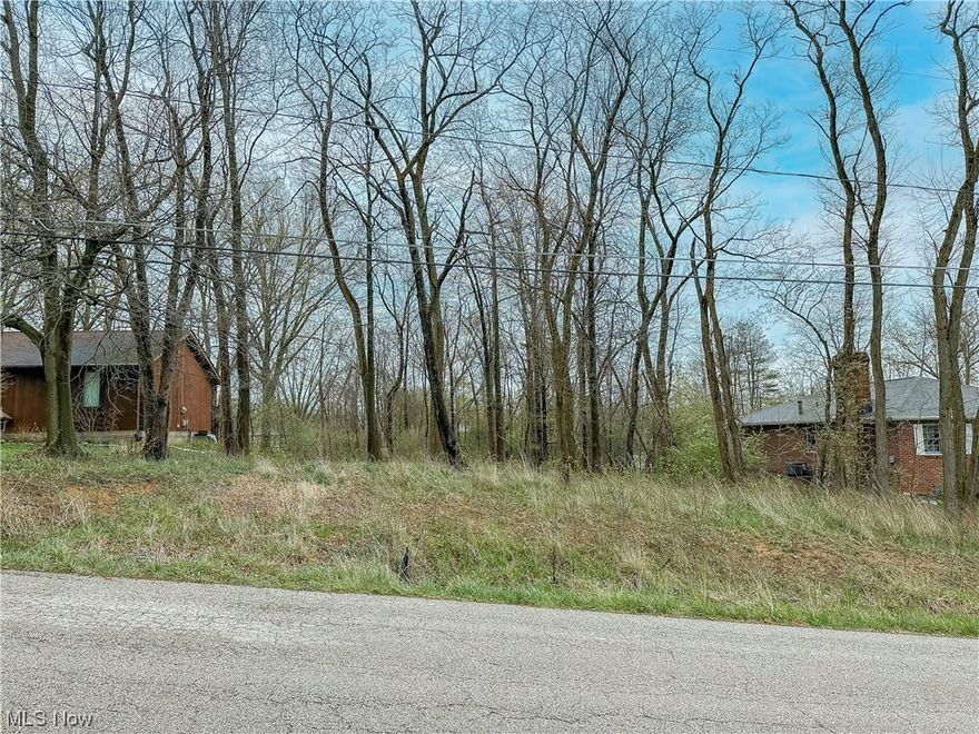 Looking for a great lot in Stow? Located in Little Farms #3 lot 68 and near downtown restaurants and entertainment!  This amazing .46 acre lot is available for you to build your perfect home. If your building plans include a walk-out lower level, this lot can accommodate. Electric, gas and sewer at street, water at rear of property. Zoned R3. Don't miss your opportunity!