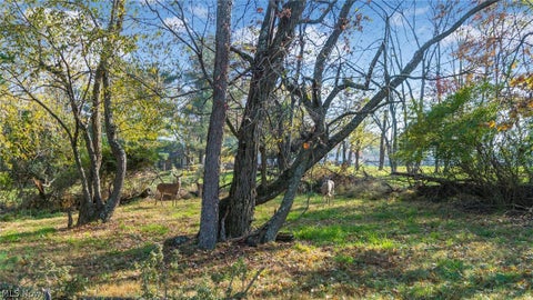 Tiny photo for 2800 W Ray Drive, Zanesville, OH 43701 (MLS # 5256030)