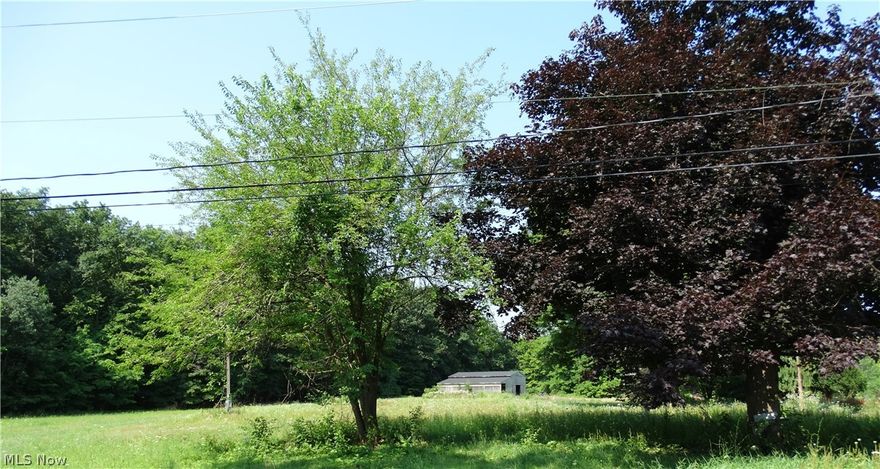 20+ acres of land, with 3 outbuildings.  The largest, a barn is 24' x 48' and has a new roof (installed October 2023).  There is a pond in the back of the property, and a well.  Electric is available.  This is a great opportunity to build your dream home in the wine country of Harpersfield Township.