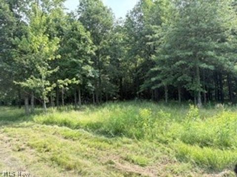 Vacant Land For Sale - State Route 14<br/> Portage County, Deerfield, OH 44411