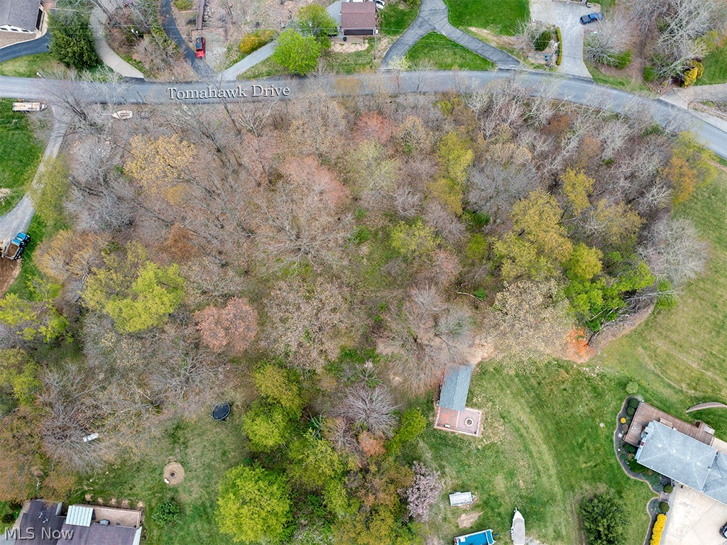 Lake Tomahawk 04 - Land