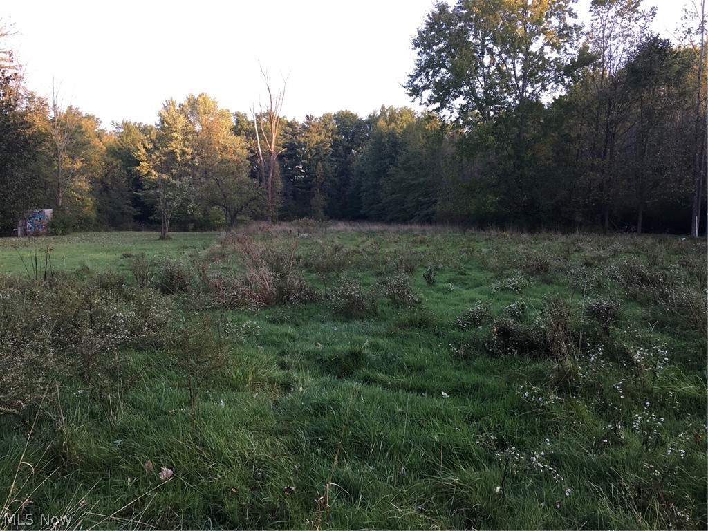 Welcome to this diamond in the rough build-able lot with all variances approved! There is sewer, water, cable, electric and gas tap ins are available at street.
This parcel is flat with clearance to build with wooded privacy surround. Walk the lot at your leisure, call me today for a private tour or for any additional questions. Too and city records available upon request. Bring your builder or build on your own lot today. Affordable and in a fabulous location!
