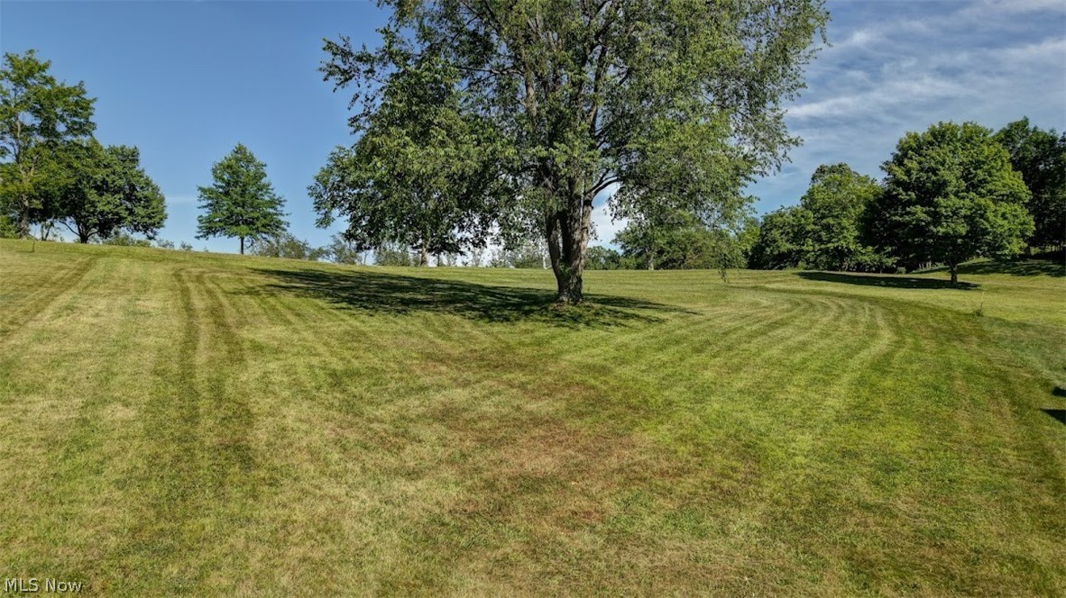 Briarwood Drive SE