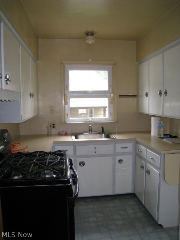 Buena Vista Villas - Residential