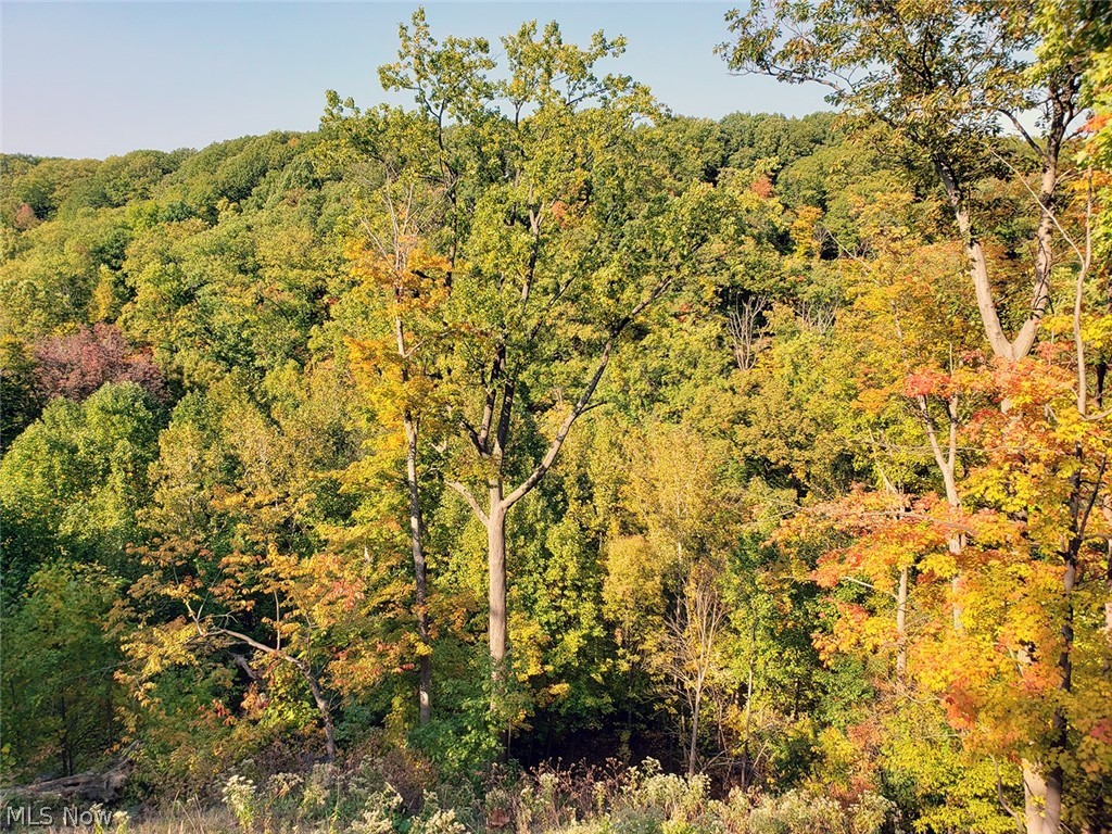 Euclid 13 - Residential