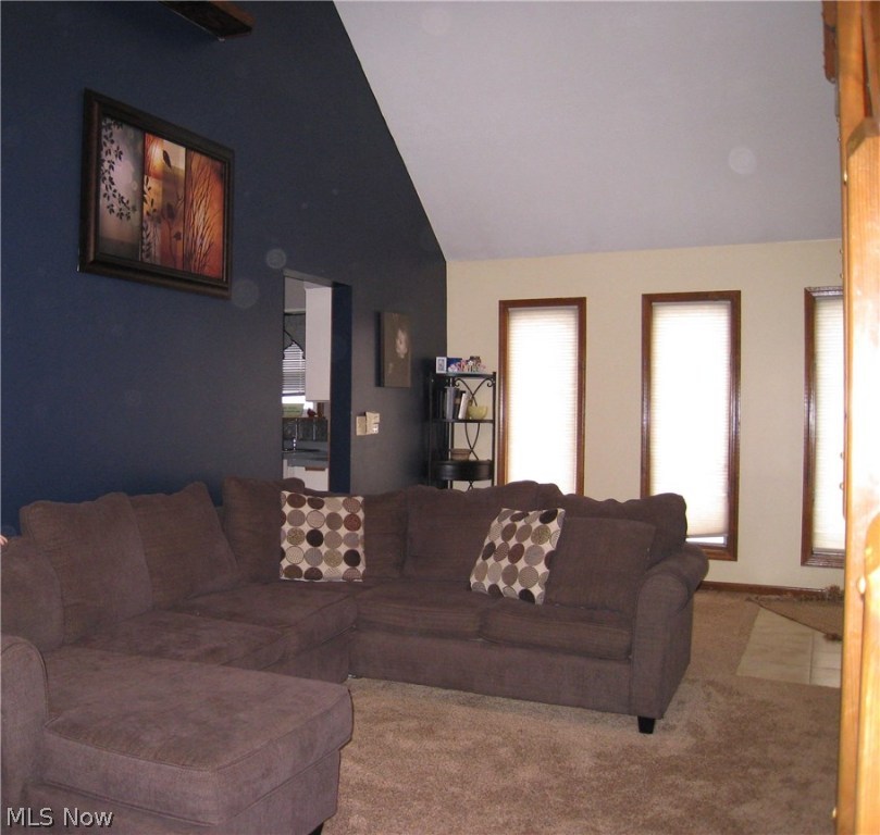 Fried Haven Allotment - Residential