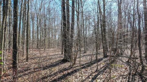 Vacant Land For Sale - Rockwood Road<br/> Ashtabula County, Windsor, OH 44099