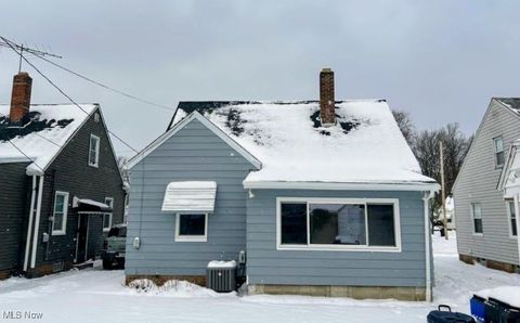 Tiny photo for 1313 Plymouth Road, Cleveland, OH 44109 (MLS # 5179043)