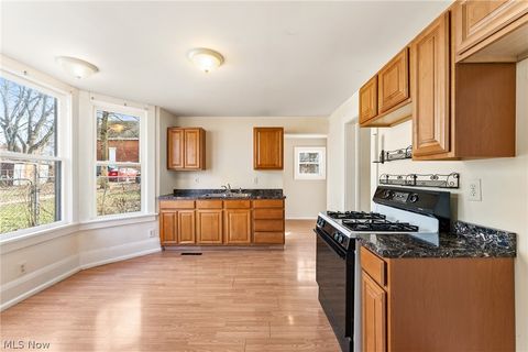 Tiny photo for 313 E Seventh Street, Salem, OH 44460 (MLS # 5189991)