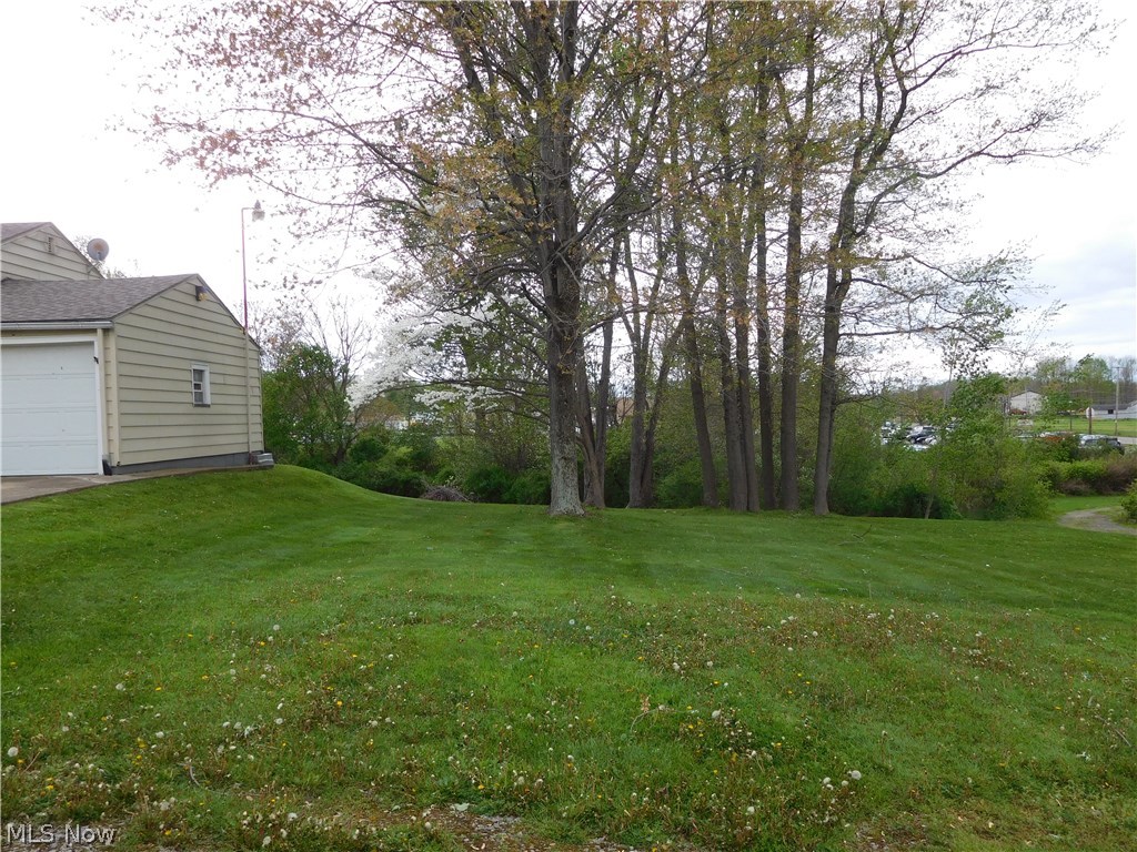 Buena Vista Heights - Residential