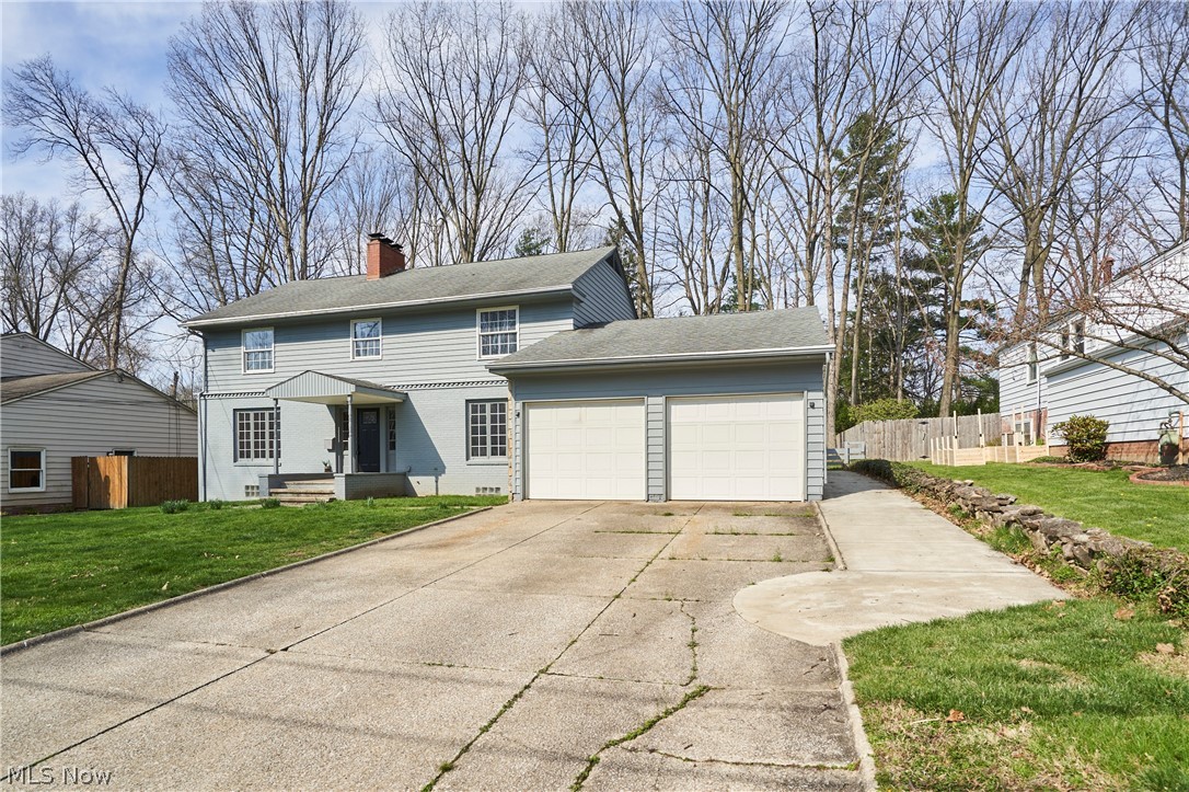 Oak Tree - Residential