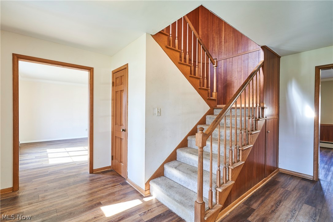 Oak Tree - Residential