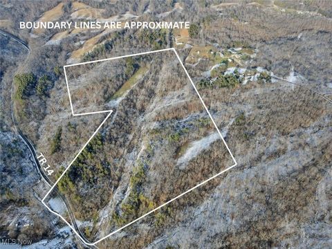 Vacant Land For Sale - 7714 County Rd 14<br/> Perry County, Corning, OH 43730