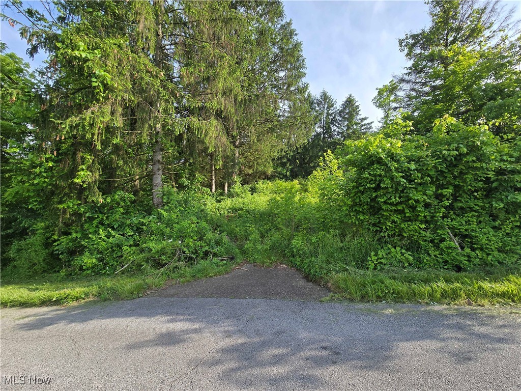 55560 Poplar Avenue, Bridgeport, Ohio image 3