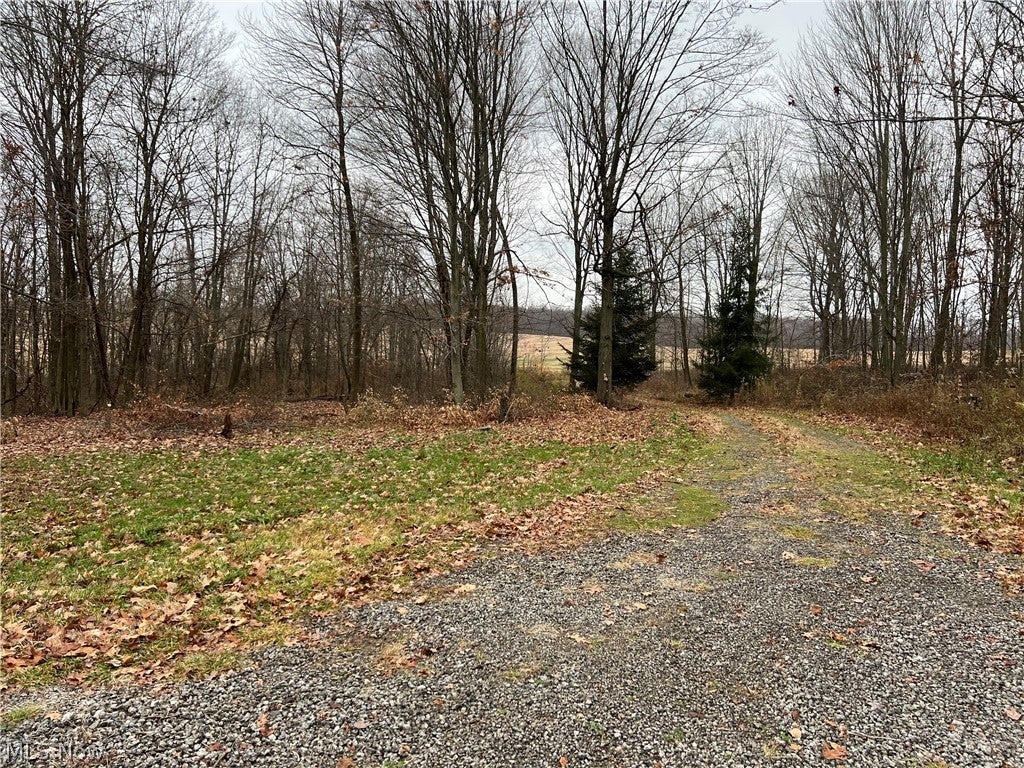 31293 Speidel Road