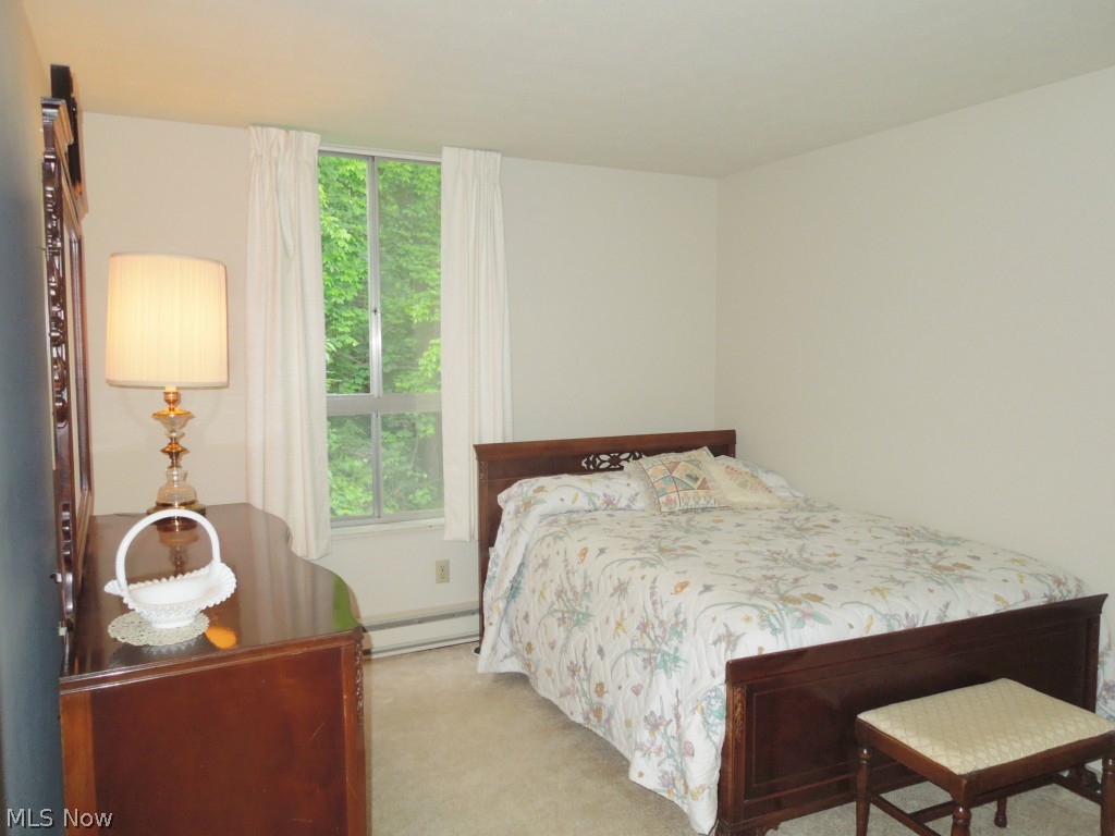 Silver Lake Towers Condo - Residential