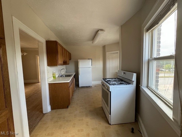 Ridge Road - Commercial Sale