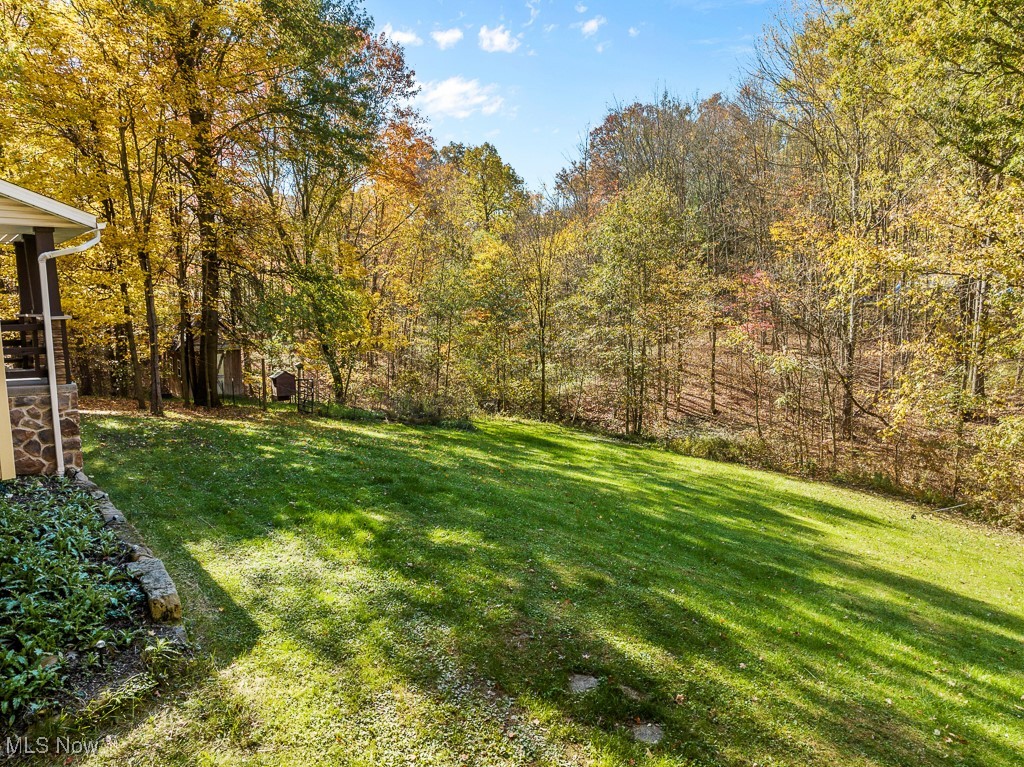 13109 Edison Street, Alliance, Ohio image 34